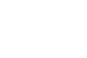 Garmin logo